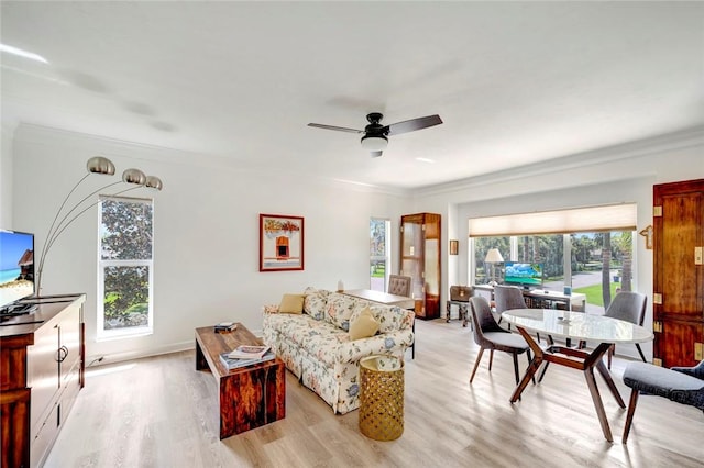 living room featuring crown molding, a ceiling fan, and light wood-type flooring