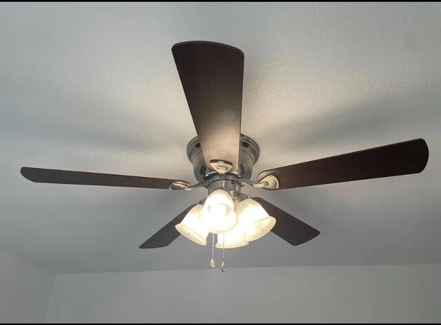 room details with ceiling fan