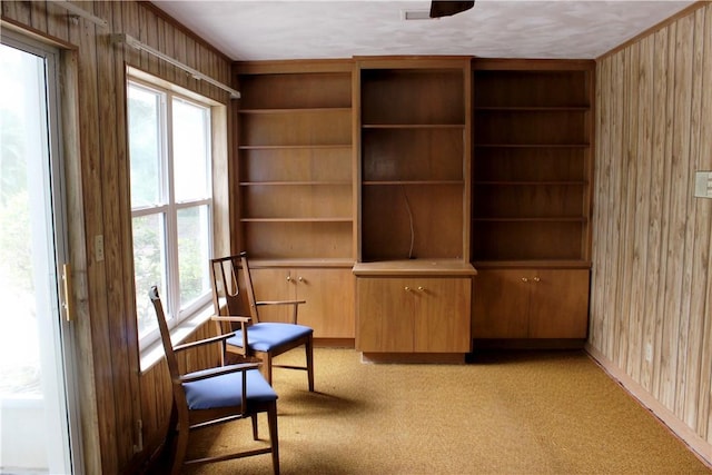 2910 59th Ave, Vero Beach, FL 32966 - unfurnished room with wood walls, healthy amount of natural light, and light carpet