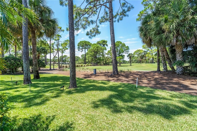 view of home's community with a lawn