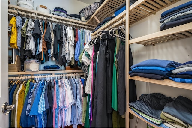 view of spacious closet