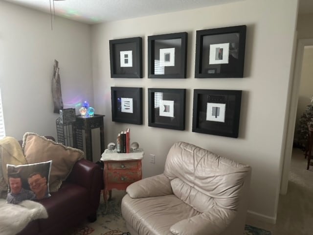 sitting room featuring carpet flooring