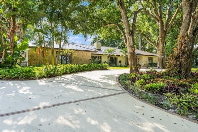 240 44th Ter SW, Vero Beach, FL 32968 - ranch-style house featuring a chimney, curved driveway, metal roof, and a standing seam roof