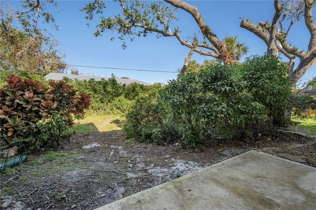 view of yard featuring a patio area