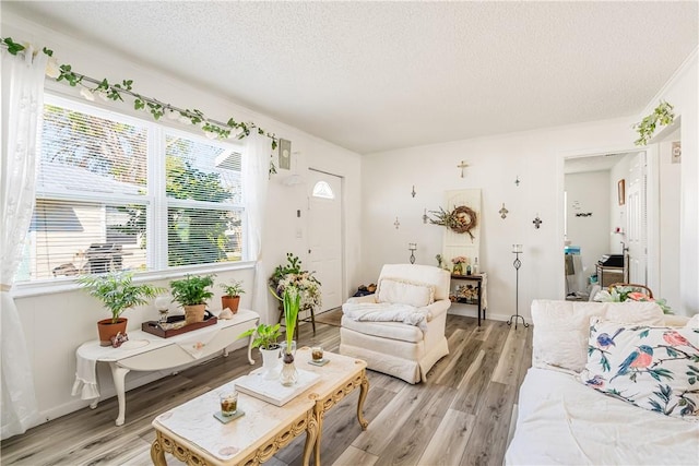 living area with a textured ceiling, light wood finished floors, and baseboards