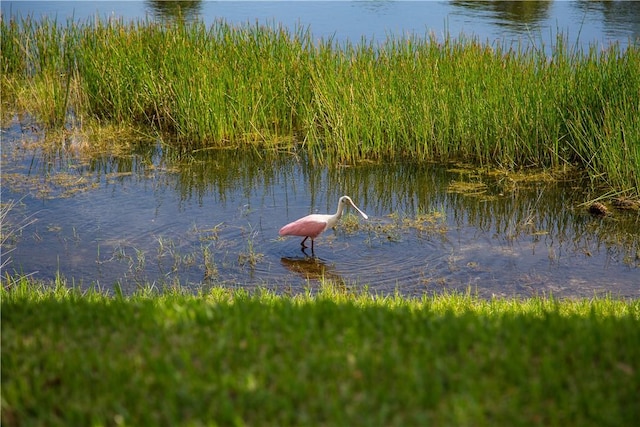 1510 Oak Harbor Blvd Unit 102, Vero Beach, FL 32967 - water view