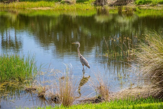1510 Oak Harbor Blvd Unit 102, Vero Beach, FL 32967 - water view