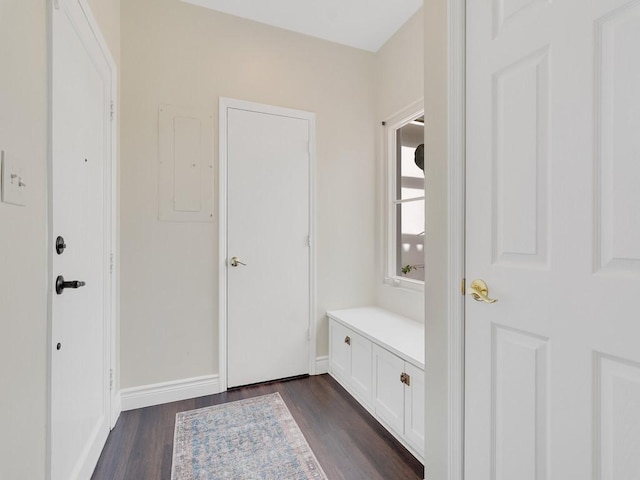 mudroom featuring electric panel, baseboards, and dark wood-style flooring