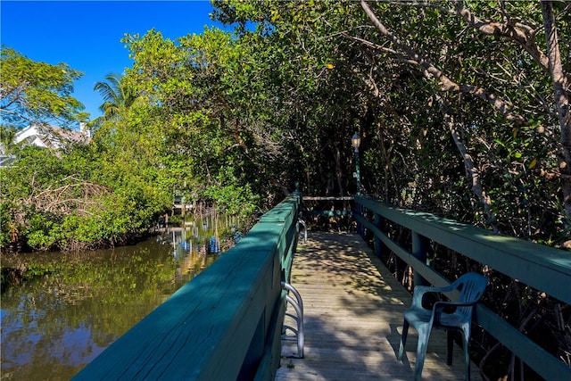 dock area with a water view