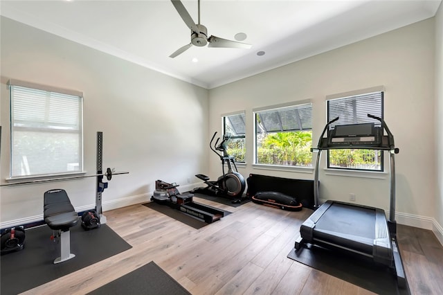 workout area featuring ornamental molding, light wood-type flooring, and ceiling fan