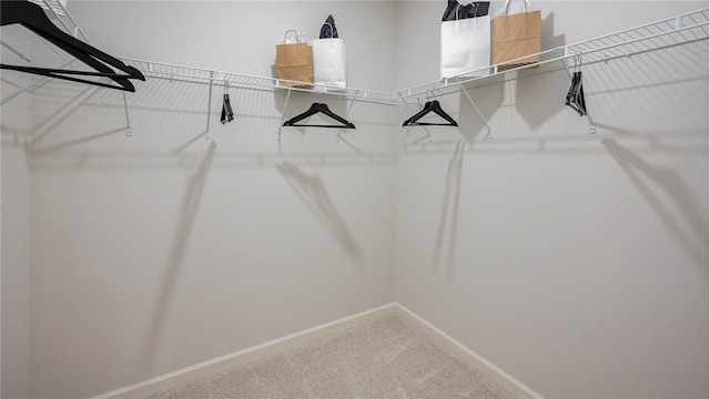 spacious closet featuring carpet flooring