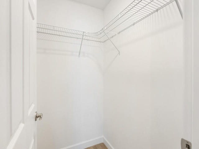 spacious closet featuring hardwood / wood-style flooring