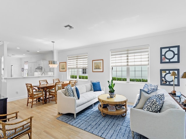 living room featuring ornamental molding, light hardwood / wood-style floors, and a wealth of natural light