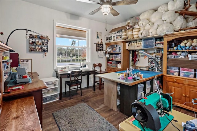 office featuring ceiling fan and dark hardwood / wood-style flooring