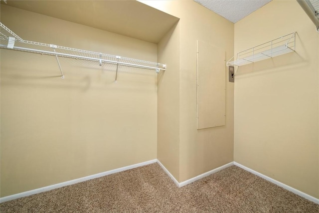 spacious closet with carpet