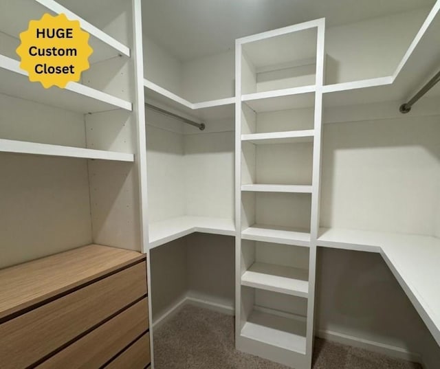 spacious closet with carpet flooring