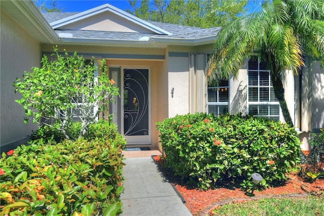 property entrance featuring roof with shingles and stucco siding