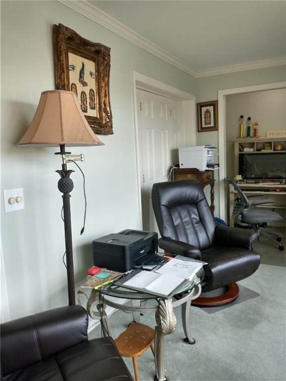 sitting room with carpet and crown molding