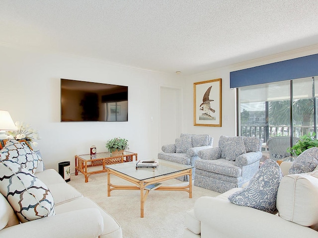 living room featuring a textured ceiling, carpet floors, and ornamental molding