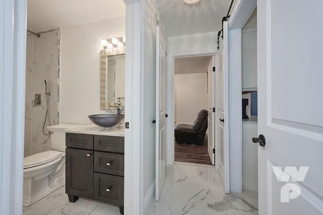 bathroom featuring vanity, toilet, and a shower