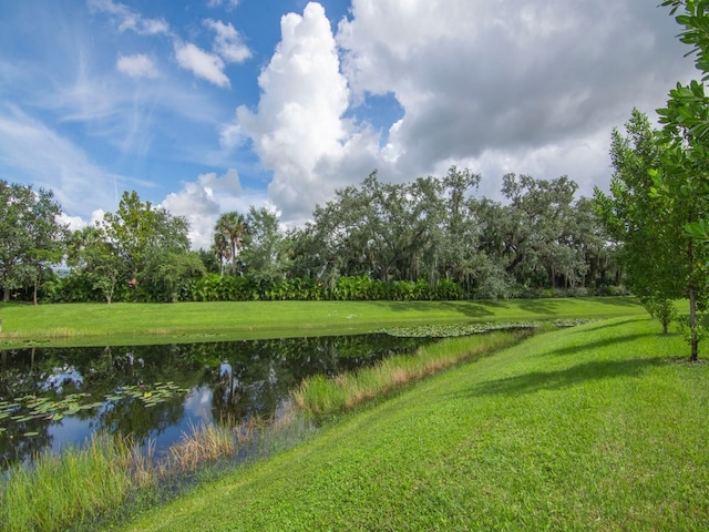 property view of water