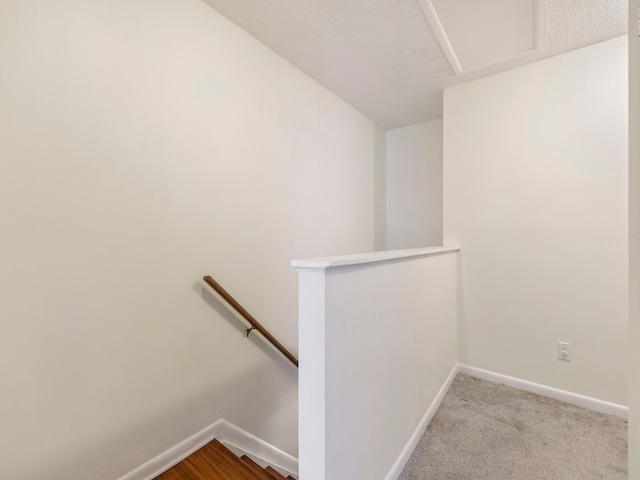 stairs featuring carpet and a textured ceiling