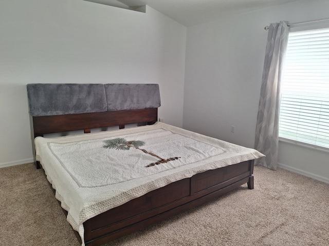 carpeted bedroom with multiple windows