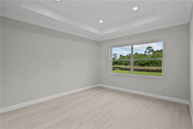 spare room featuring light wood-type flooring, a raised ceiling, and crown molding