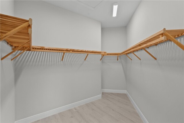 spacious closet featuring light hardwood / wood-style floors