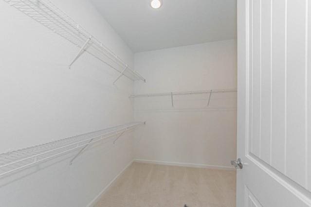 spacious closet with light carpet