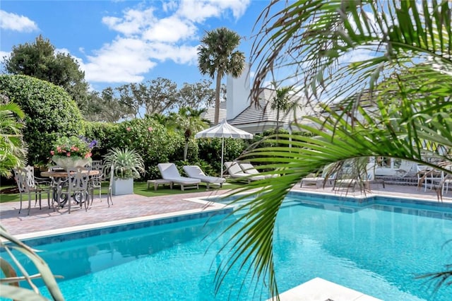 view of pool with a patio area