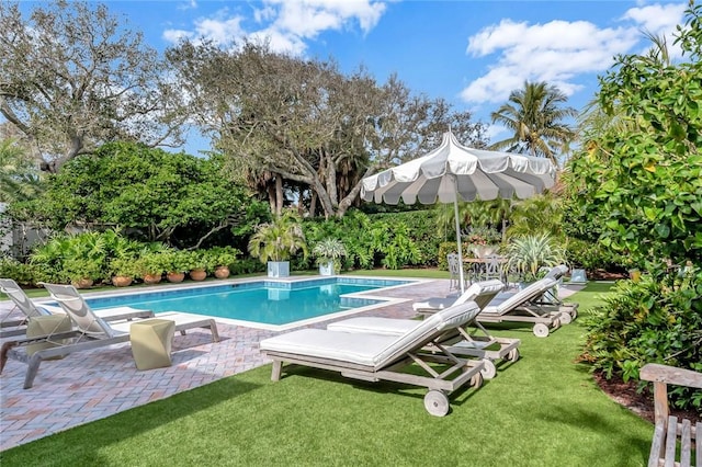 view of swimming pool with a patio and a lawn