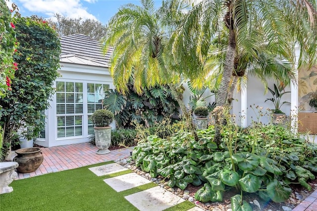 view of yard with a patio