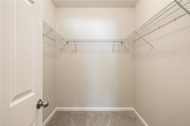8157 Westfield Cir, Vero Beach, FL 32966 - spacious closet featuring carpet