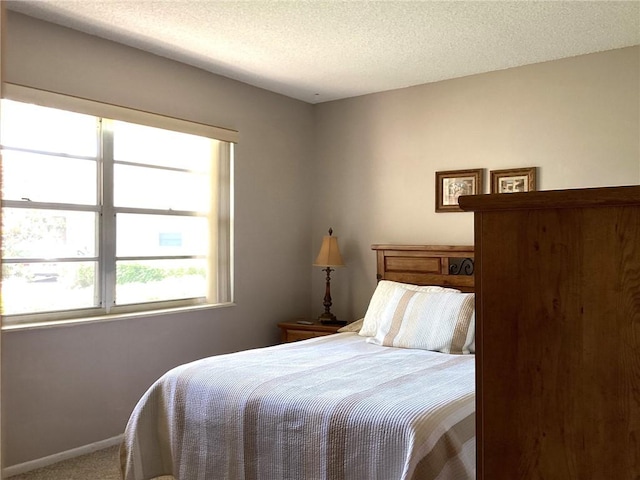 44 Vista Gardens Trail Trl Unit 101, Vero Beach, FL 32962 - bedroom featuring carpet floors, a textured ceiling, and baseboards