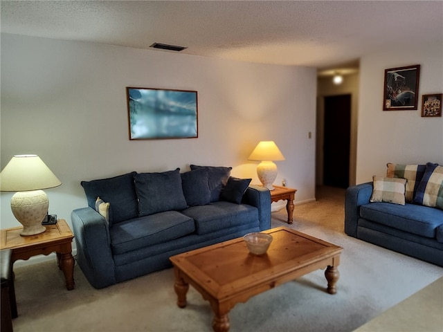 carpeted living area with a textured ceiling