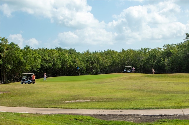 view of property's community featuring a lawn