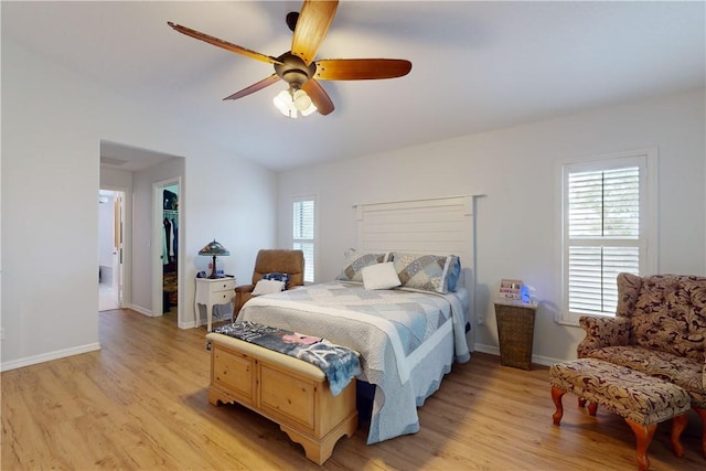 bedroom with ceiling fan, a walk in closet, a closet, and light hardwood / wood-style floors