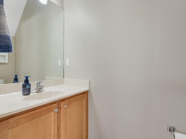 bathroom with toilet and vanity