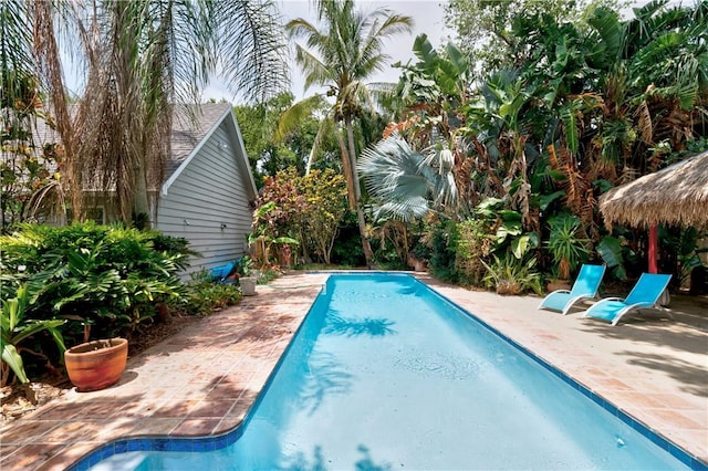 view of pool featuring a patio and a gazebo