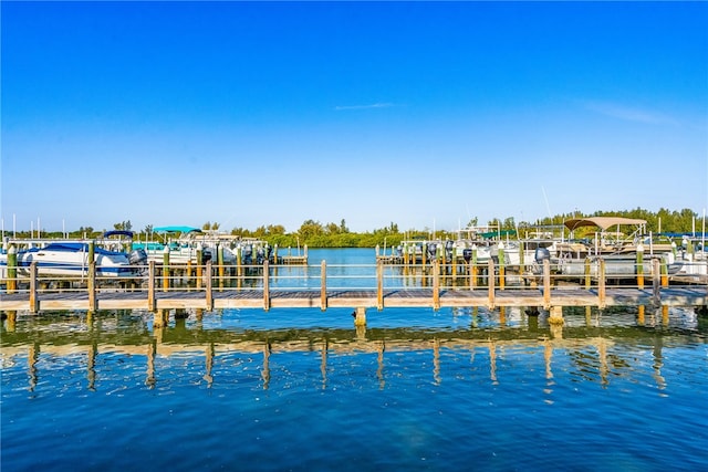 dock area with a water view