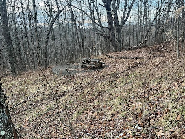 LOT5 Hideaway Trl, Edray, WV 26291
