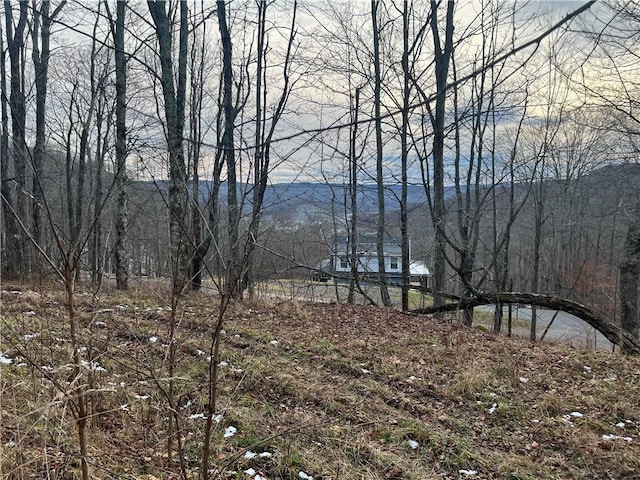 LOT5 Hideaway Trl, Edray, WV 26291