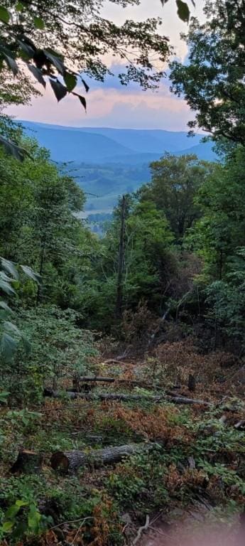 LOT5 Hideaway Trl, Edray, WV 26291