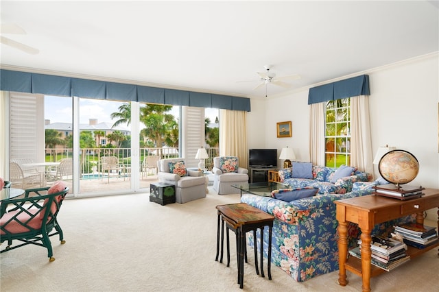 living room featuring ceiling fan, carpet, and crown molding