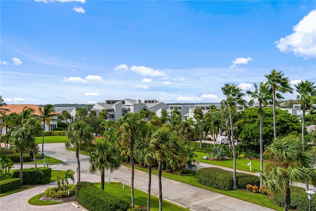 view of property's community with a yard