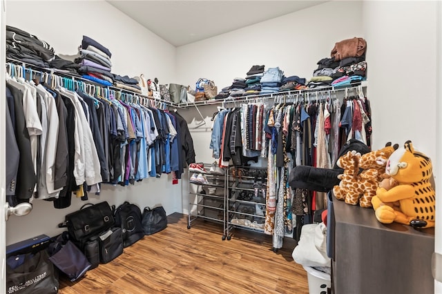 walk in closet featuring wood finished floors