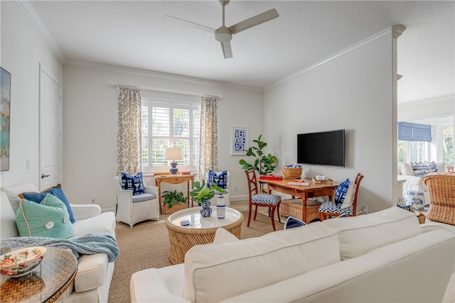 living room featuring ceiling fan, ornamental molding, and baseboards