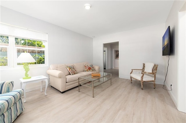 living room featuring light wood-type flooring