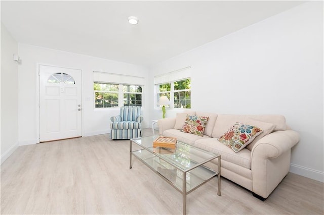 living room with light wood-type flooring